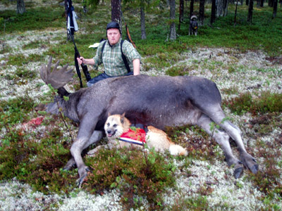 J-Ps 19 taggar