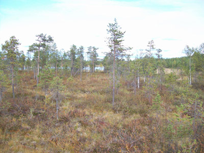 Utsikt frn pass 3 som synes tomt p lg. Foto Johannes.